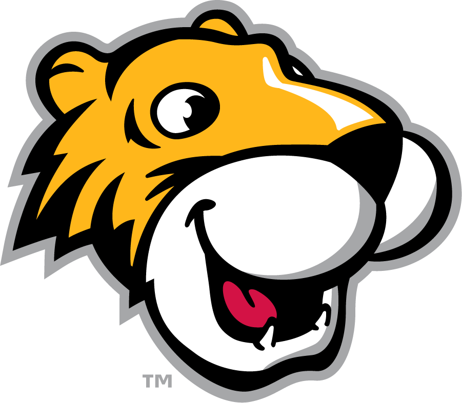 Towson Tigers 2002-Pres Mascot Logo v2 DIY iron on transfer (heat transfer)
